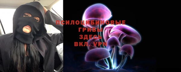 apvp Балабаново